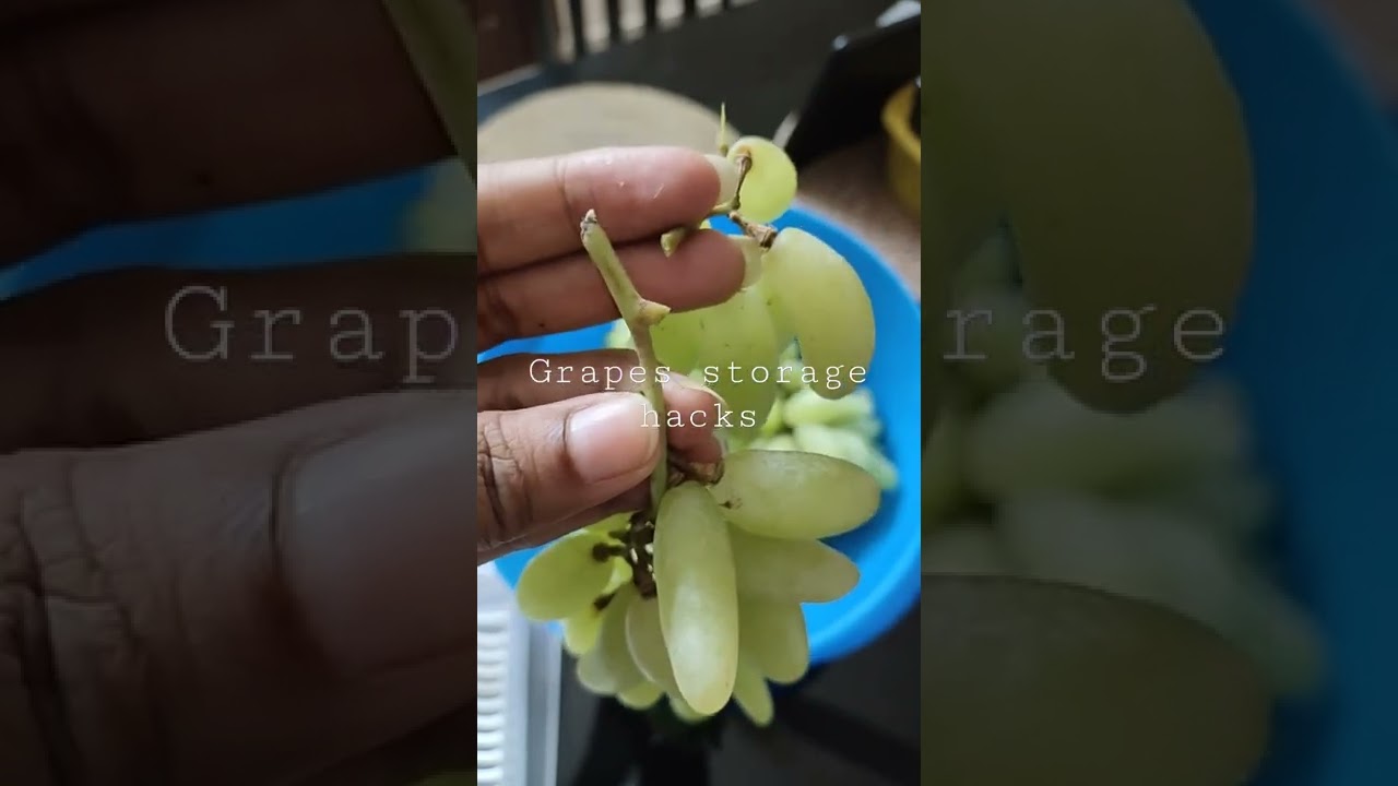 How to keep grapes fresh longer | Storage Tips Shorts###