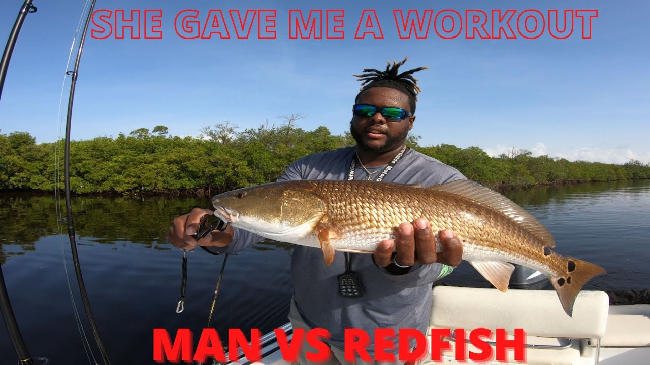 Simple and easy way to catch redfish on live bait in charlotte harbor!