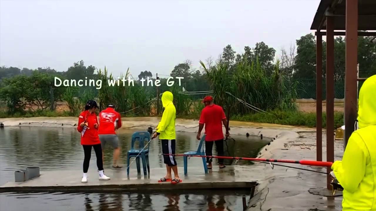 Damai Pond C,  Groupers and GT actions