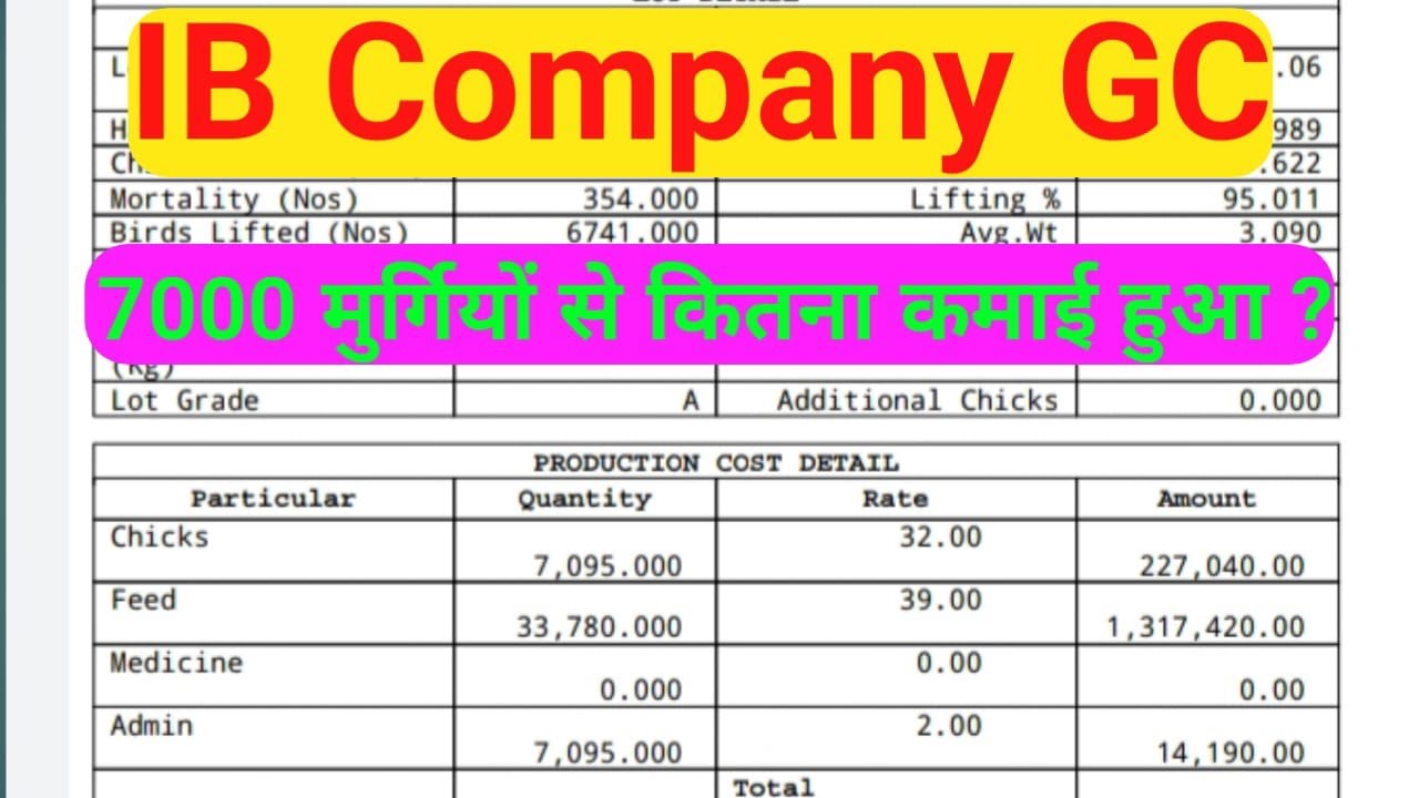 7000 मुर्गियों से 44 दिन में  IB कंपनी से कितना कमाई हुआ ? IB Company GC