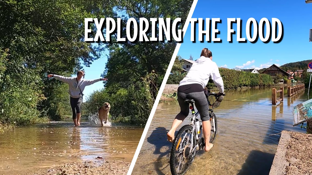 What I'm Doing When Not Traveling | Martinas Life
