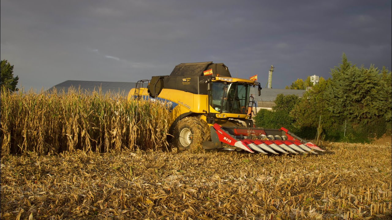 New Holland CX7080//Cosechando maiz para pastone//4K