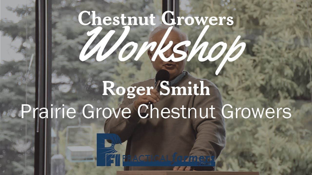 Marketing Chestnuts - Roger Smith