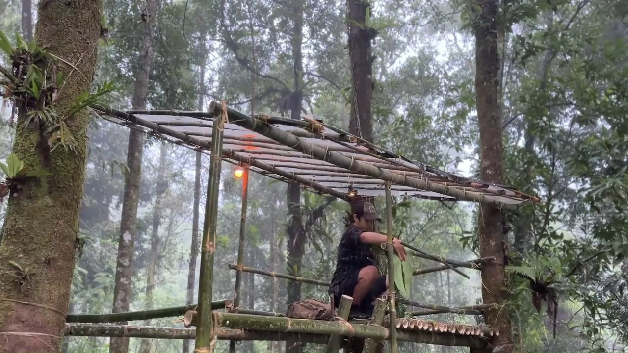 Survival Camping in Forest Rain Creating a Shelter in Forest | Survival Camping in Rainy Forest