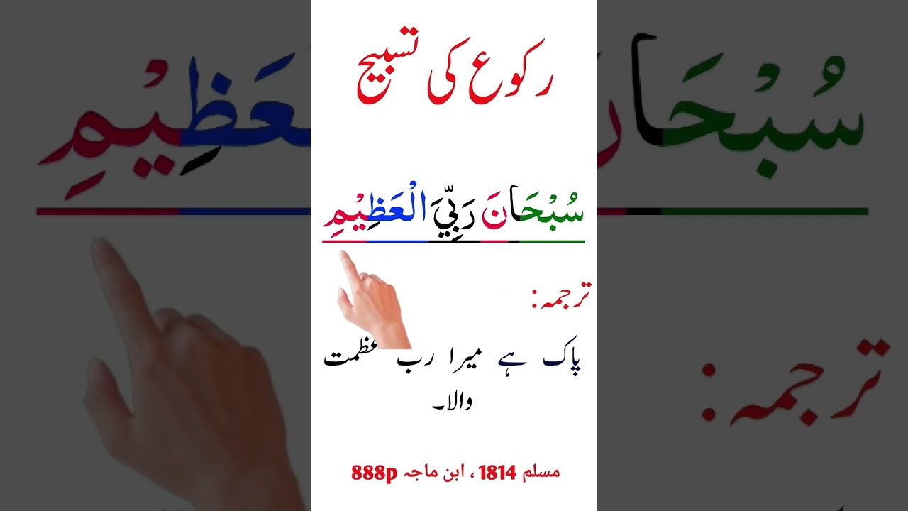 Subhana Rabbi al Azeem | Ruko Ki Tesbeh