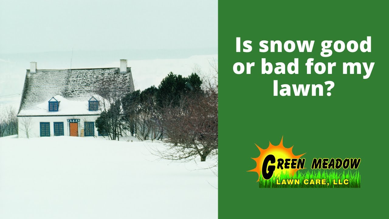 How Snow Fertilizes Your Lawn