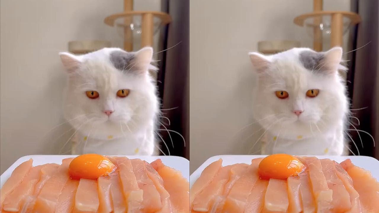 Why is this chicken so sticky today 