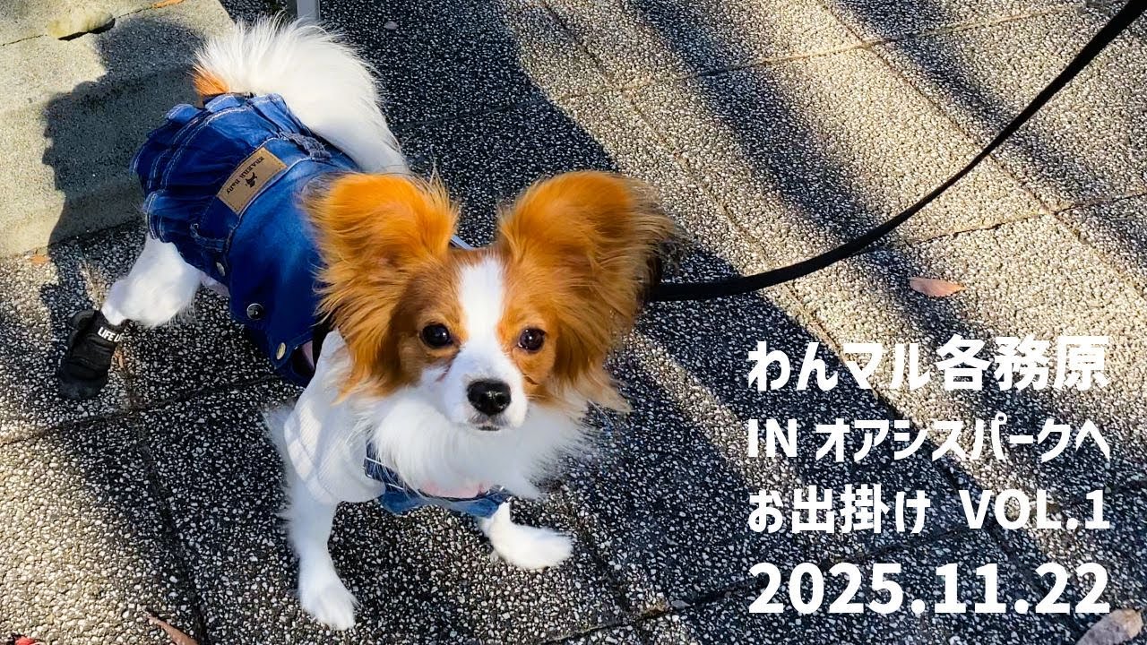 【犬イベント】【わんマル各務原】にお出掛け Vol.１