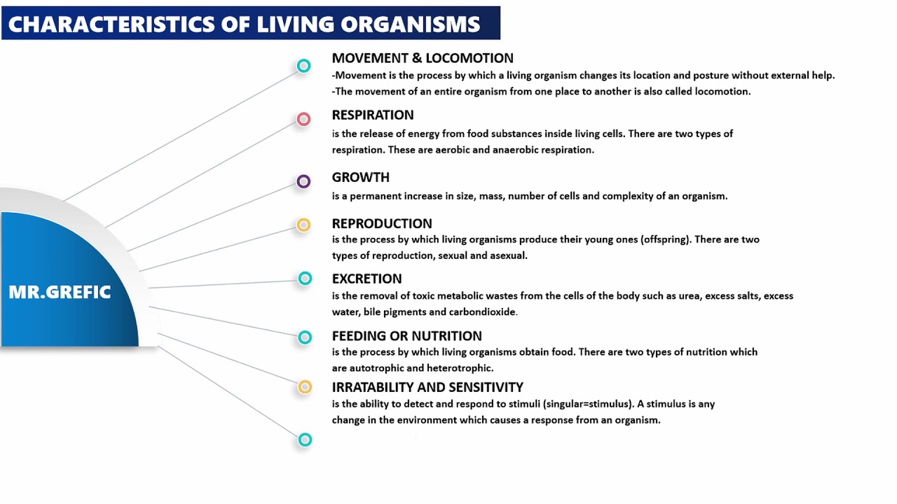 Introduction To Biology In 4min