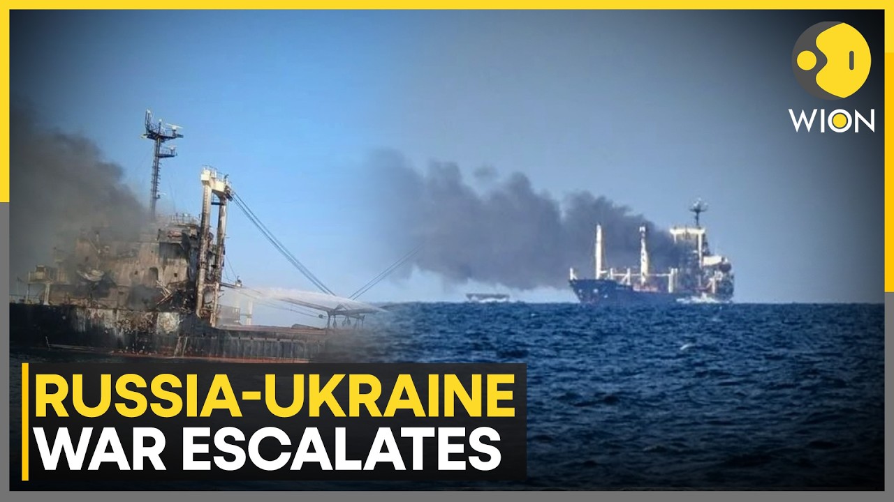 Russia-Ukraine War: Ukraine Blames Russia For Deadly Strike On Turkish Cargo Ship | WION News