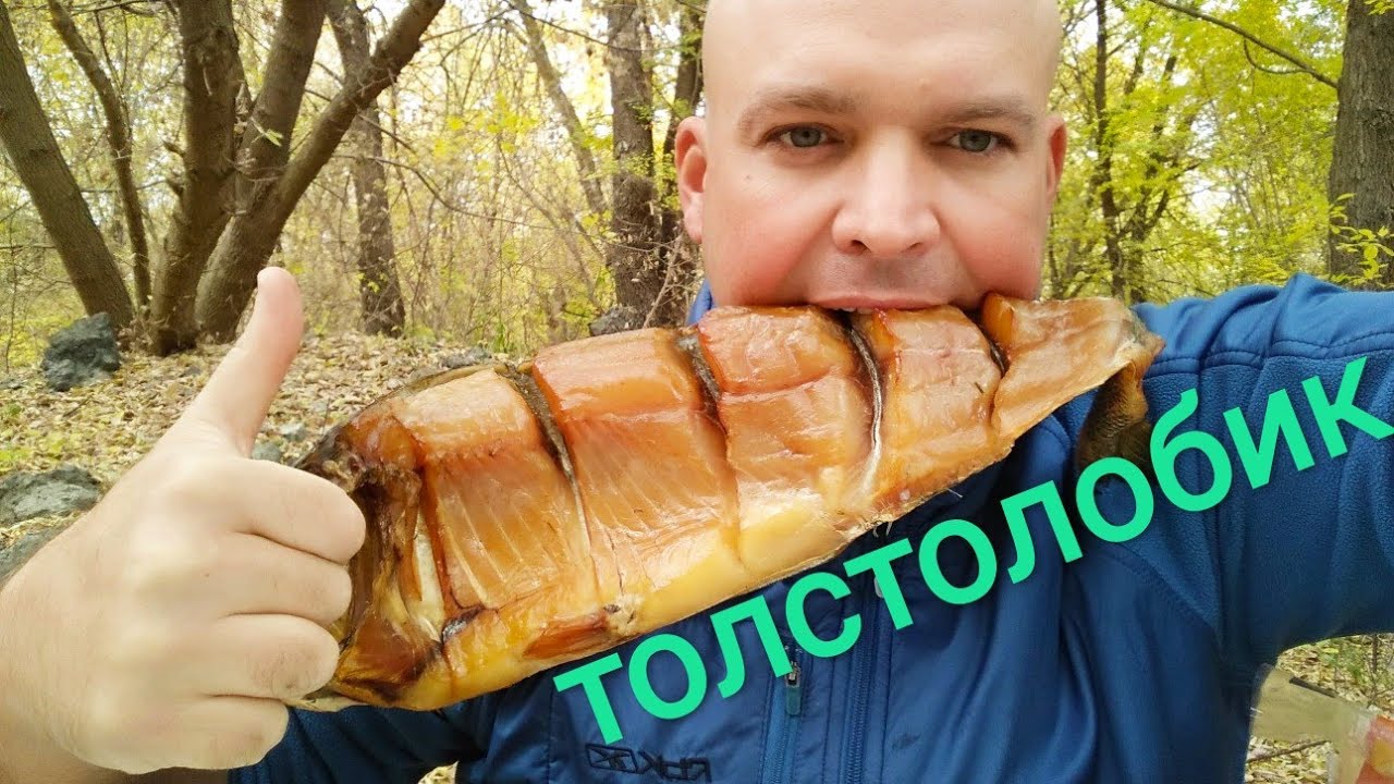 МУКБАНГ балык Толстолобик/MUKBANG balyk Silver carp