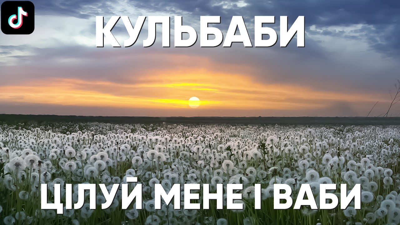 ЦІЛУЙ МЕНЕ І ВАБИ! ТІКТОК РЕМІКС! Тоня Матвієнко - Кульбаби TeeKai remix