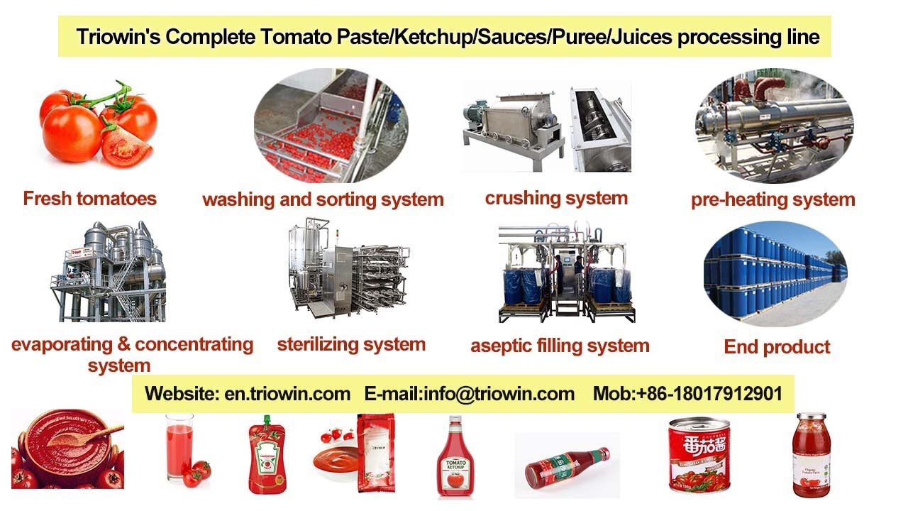 tomato paste production line / tomato paste processing equipment / tomato paste manufacturing plant