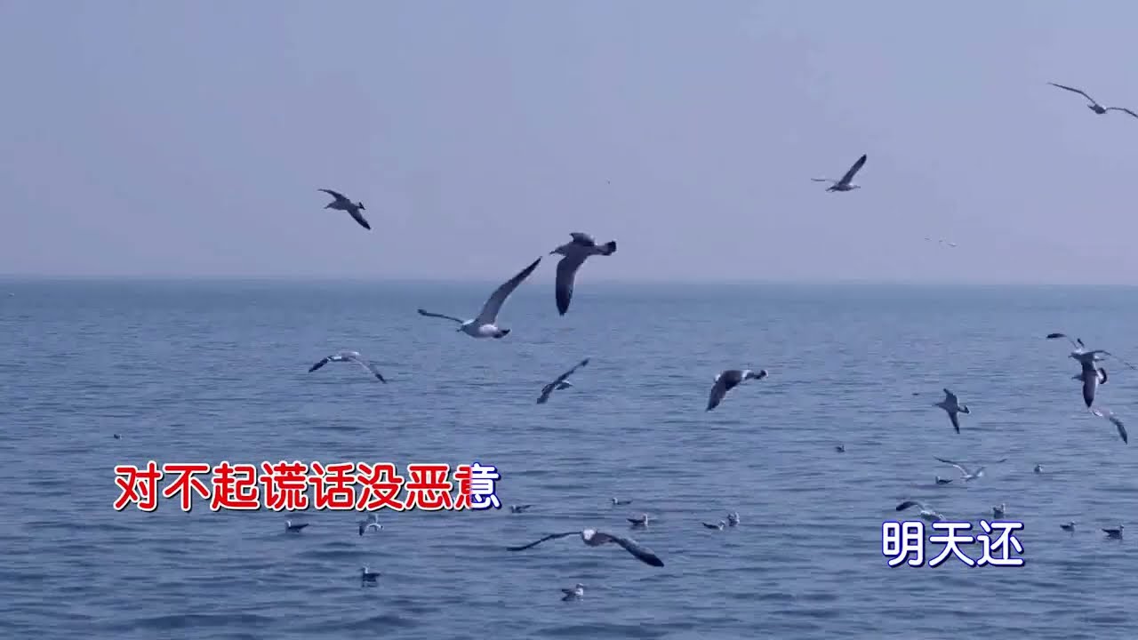 于冬然 即刻（MTV）