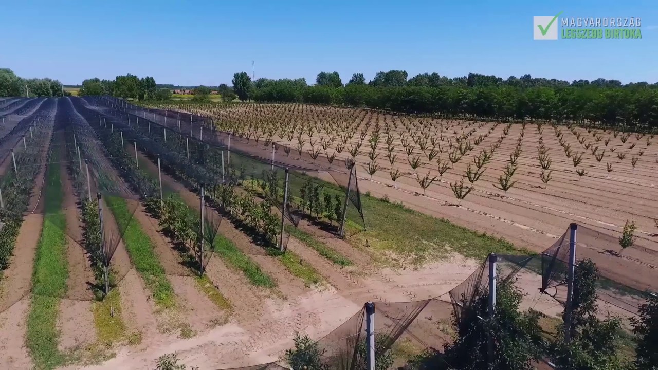 Somodi Ferenc, a Gy&uuml;m&ouml;lcs- &eacute;s szőlőtermesztő birtok kateg&oacute;ria jel&ouml;ltje