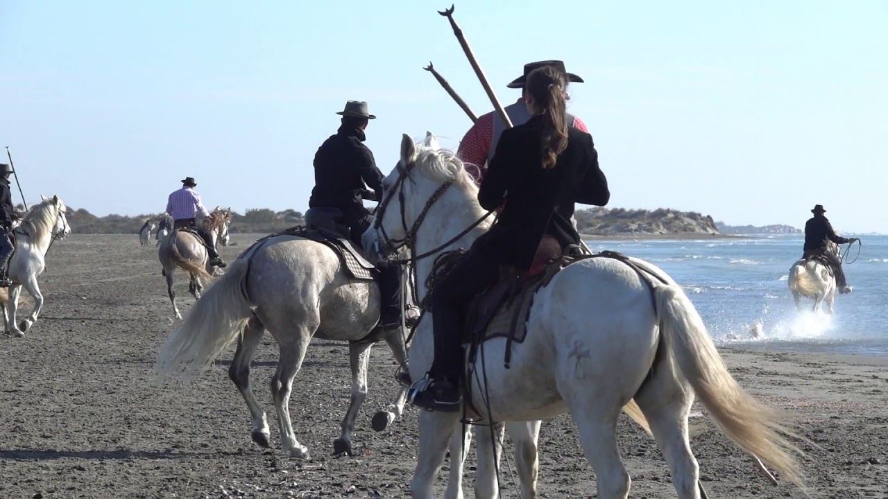 Images marquantes des festivit&eacute;s taurines de la saison 2019 aux Saintes Maries de la Mer