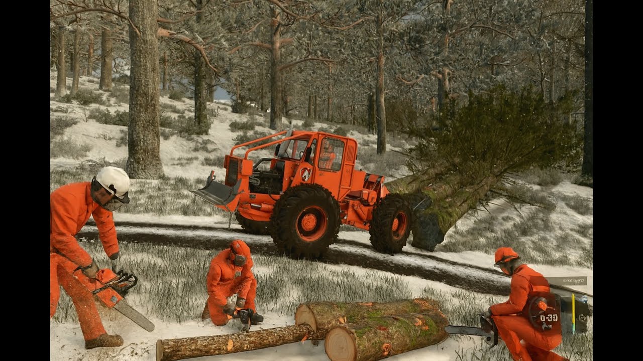 Iarna cumplita ❄️TAF – O nouă „carare” ❄️🌲