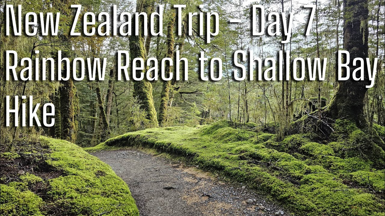 New Zealand Trip! - Day 7 Rainbow Reach to Shallow Bay Hike