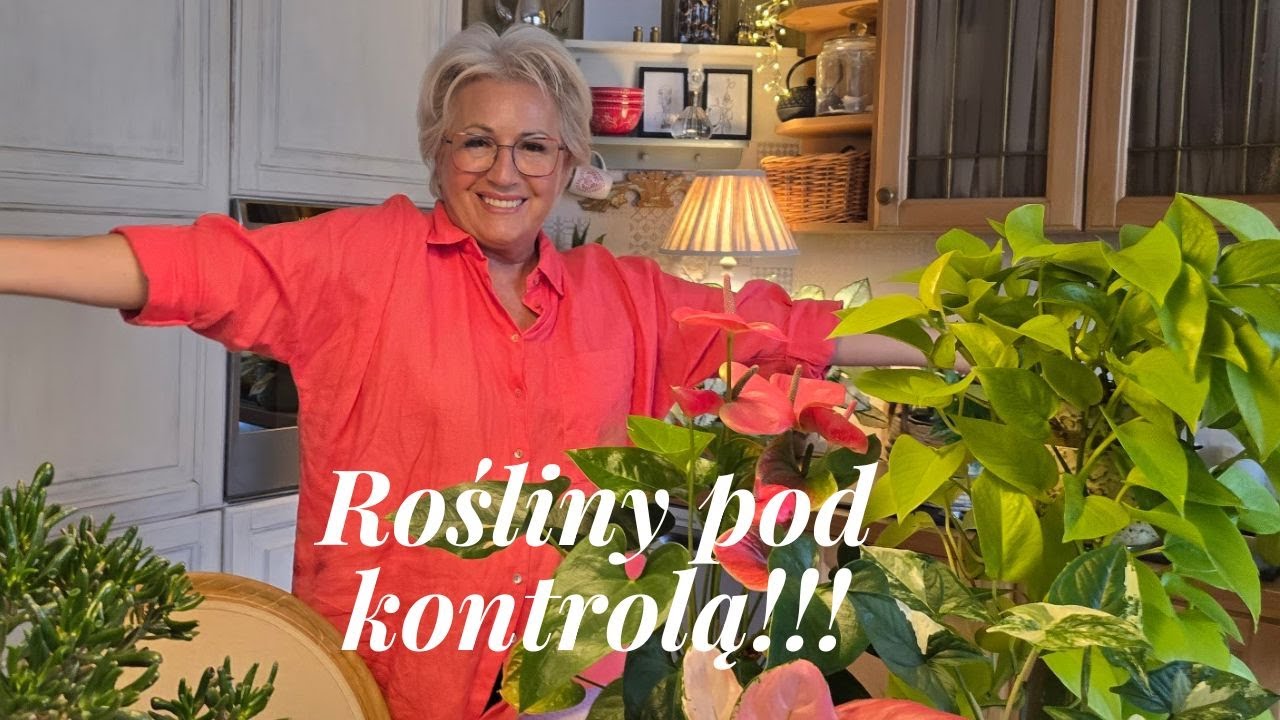 Przegląd moich roślin. Kto przeżył, a kto ma focha ;-)