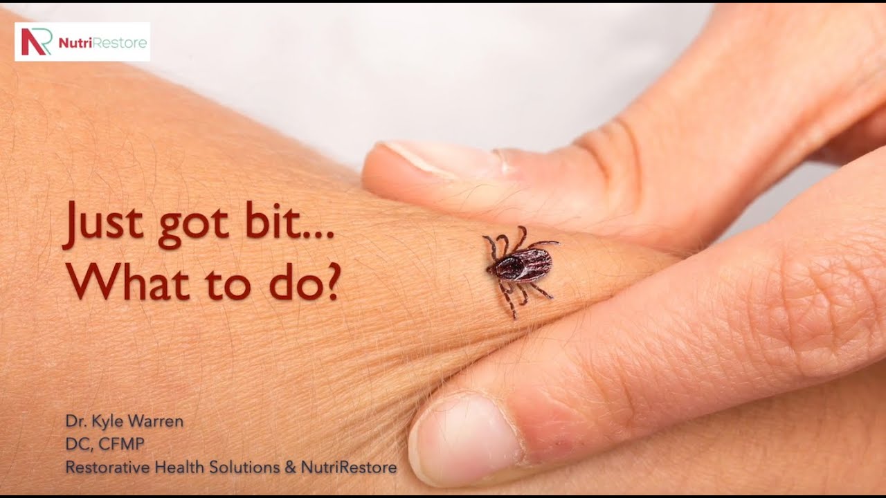 Acute Lyme Kit - Just Got Bit by a tick, What to do?