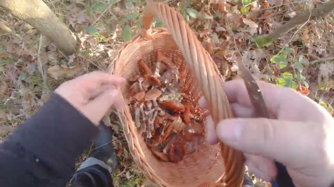 Ostatni przed przerwą
