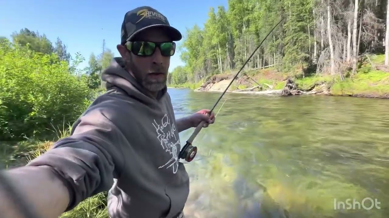 Fly fishing trout Alaska Mat Su valley. #fishing #flyfishing #alaska