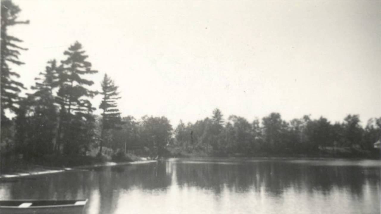 LAKE COUNTY, MICHIGAN (1920s to 1992)