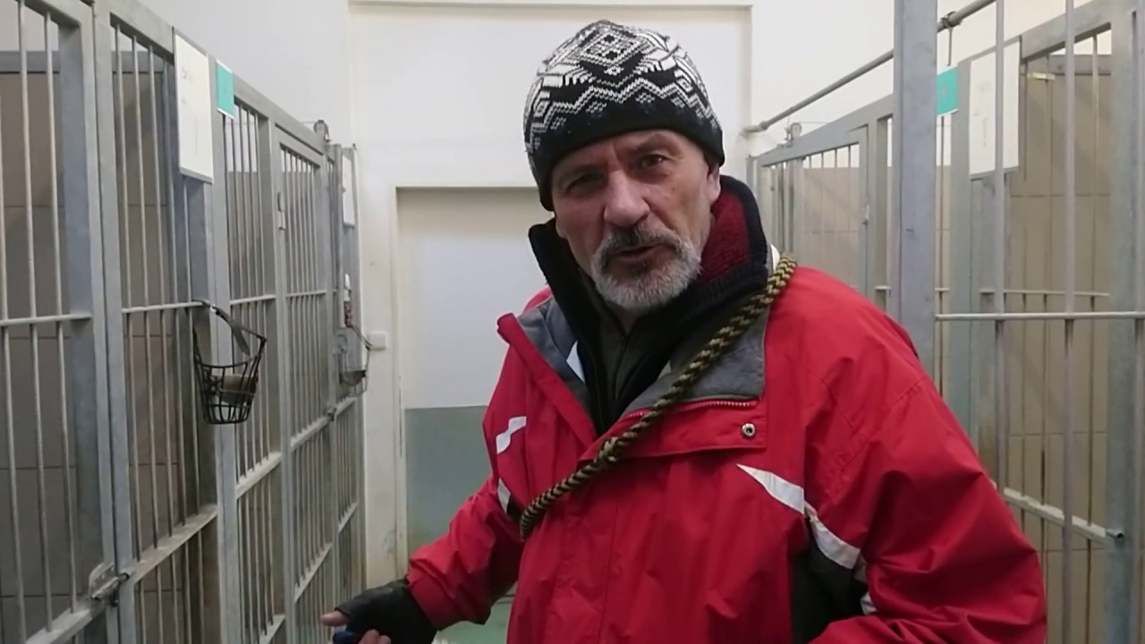 NAUČNÁ - MAX 3. z 5. filmů, nebezpečný slov.  čuvač MAX ze zl  útulku
