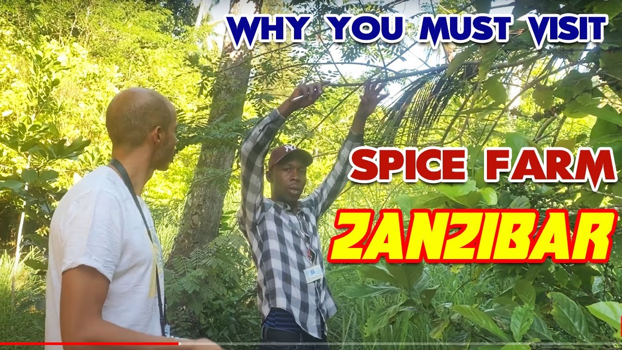 🇹🇿 🇲🇦 Full Zanzibar spice Farm Tour | A Zanzibar Spice Tour | ZANZIBAR SPICE FARM| 4k spice farm