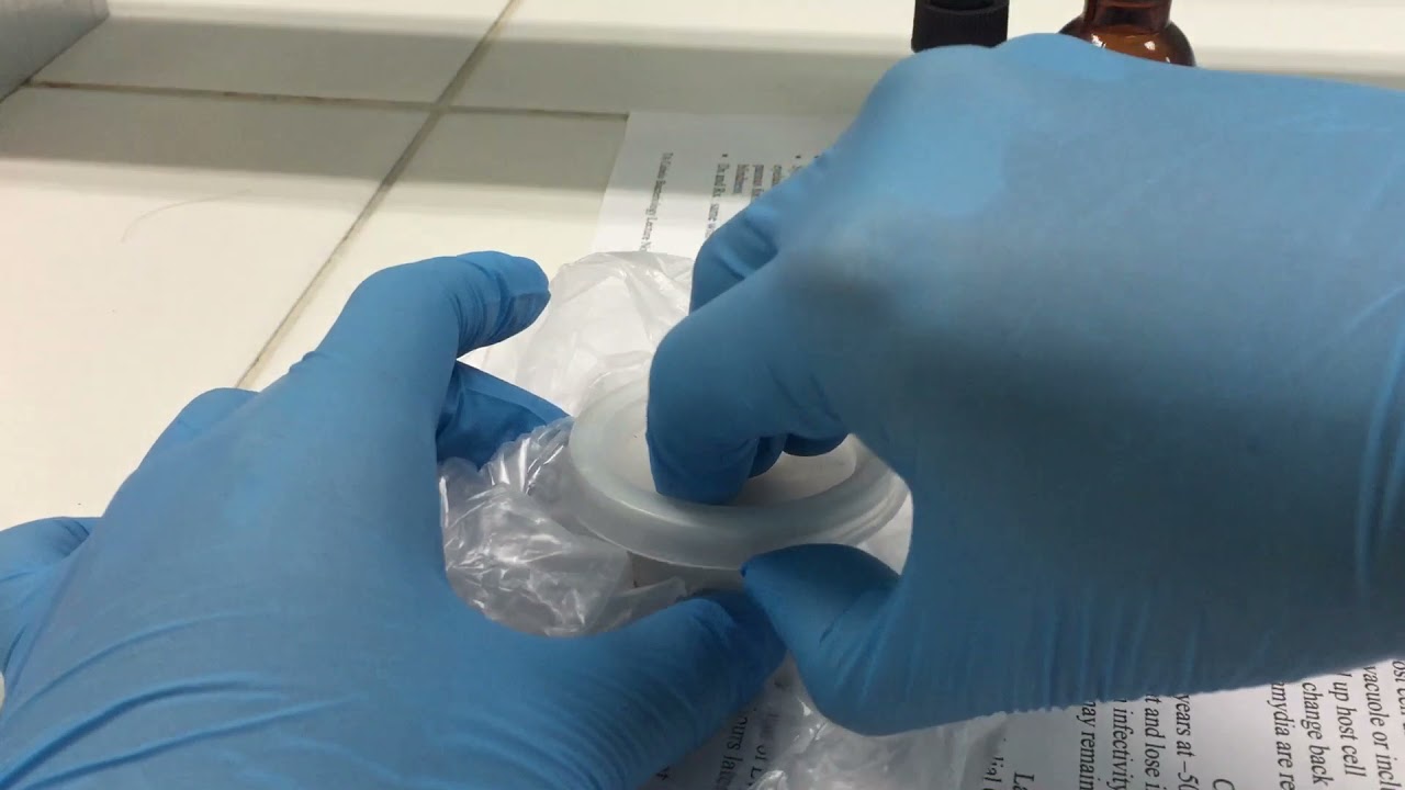 MT Laboratory Procedures | MT 26: Preparation of Fecal Smears (Part 1: DFS & D'Antoni's)