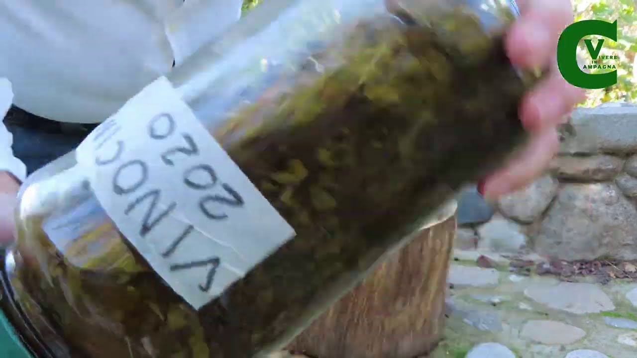 Se hai preparato il nocino non avere fretta a buttare gli scarti, guarda questo video fino in fondo