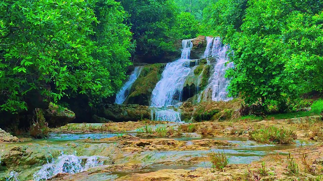 Relaxing Music For Stress Relief, Anxiety and Depressive States🌿 Heal Mind, Sleep Music 43