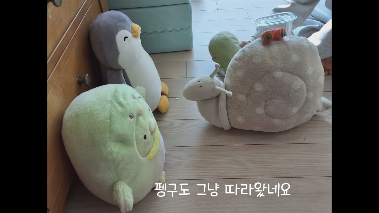 수확한 파프리카로 할 수 있는 일!! (팽펭텃밭)