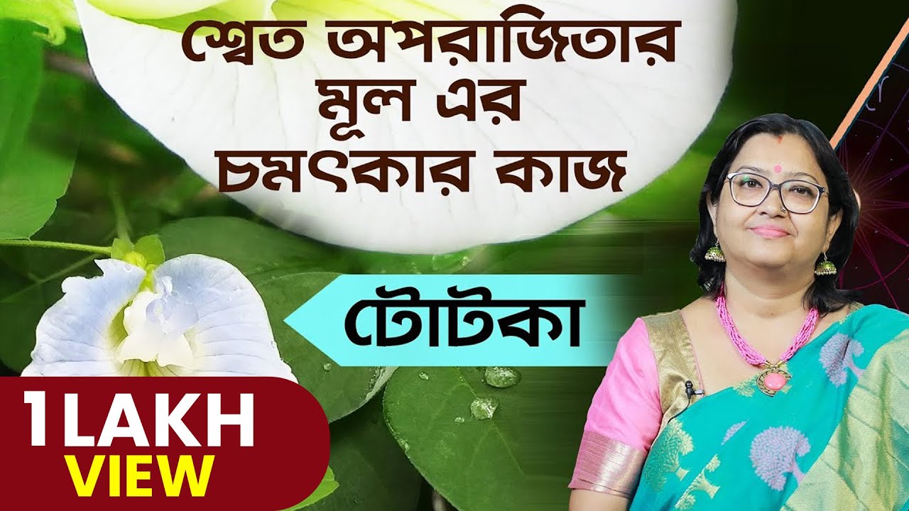 শ্বেত অপরাজিতার মূল এর চমৎকার কাজ টোটকা ! Astrologer Jytirmoyee Deboshree