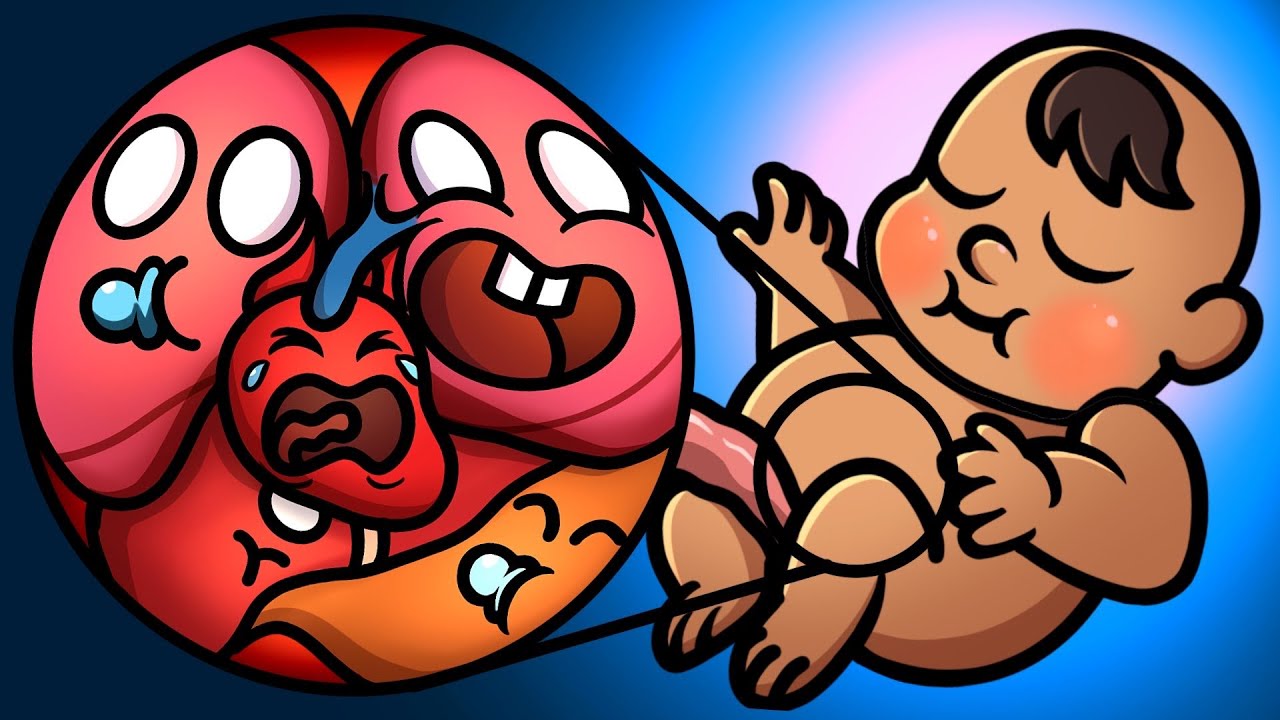 Your organs when you're BORN!