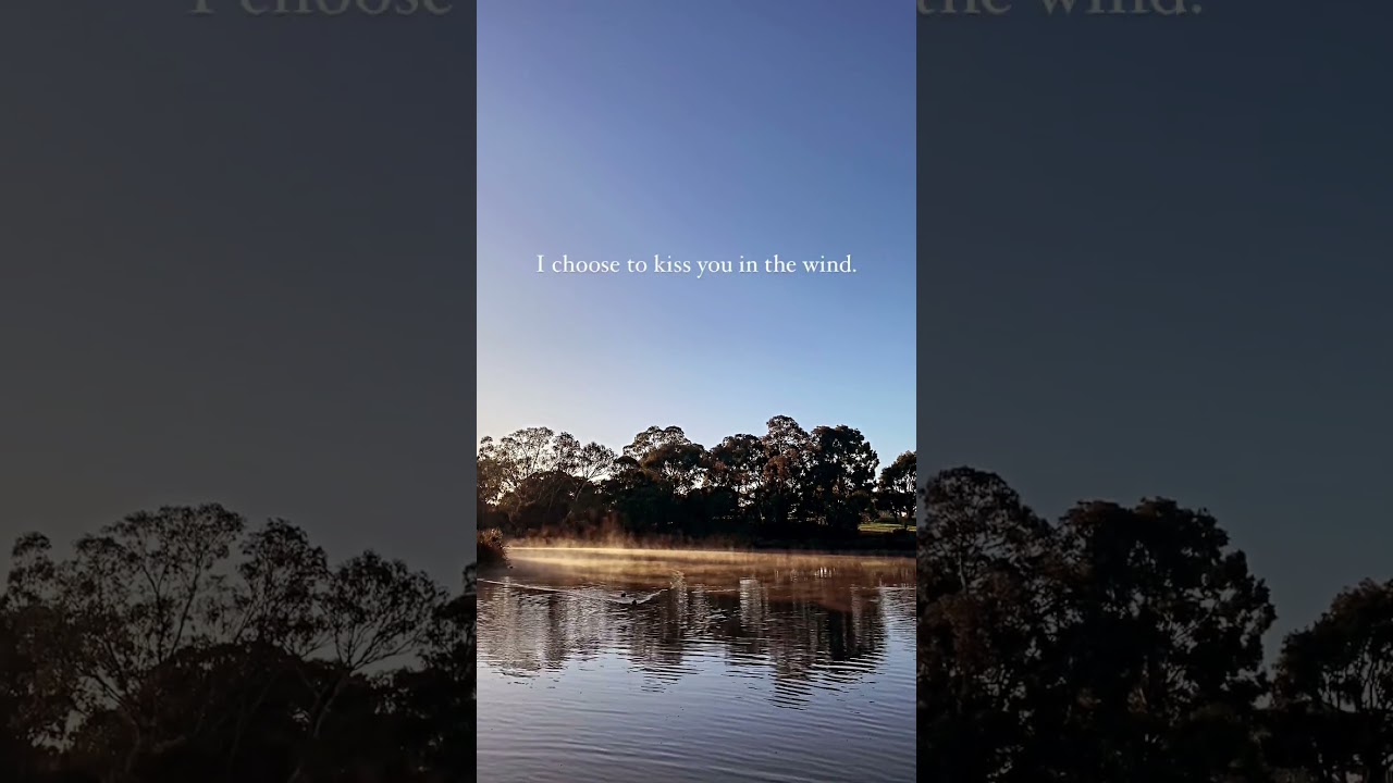 I choose to love you in silence #harmony #couplegoals #heart #quote #couple