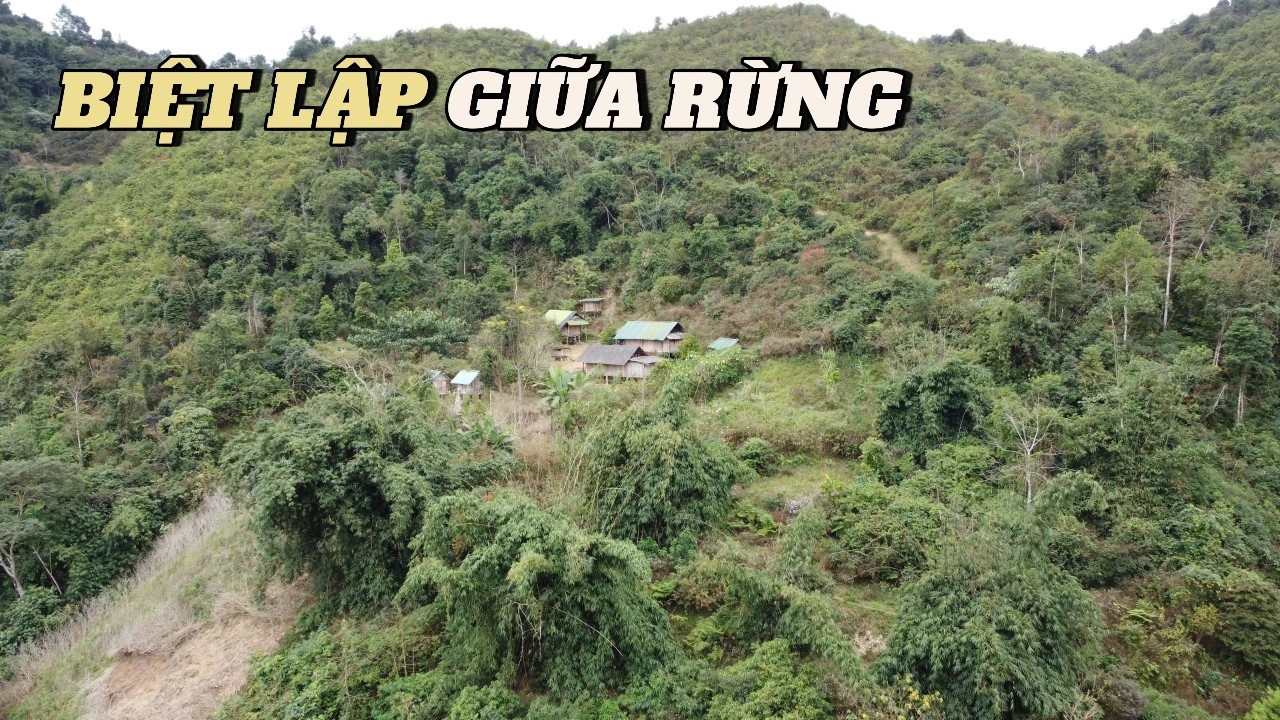 Ngôi Nhà Biệt Lập Giữa Rừng Sâu – Ở Đây Có Người Sống Thật