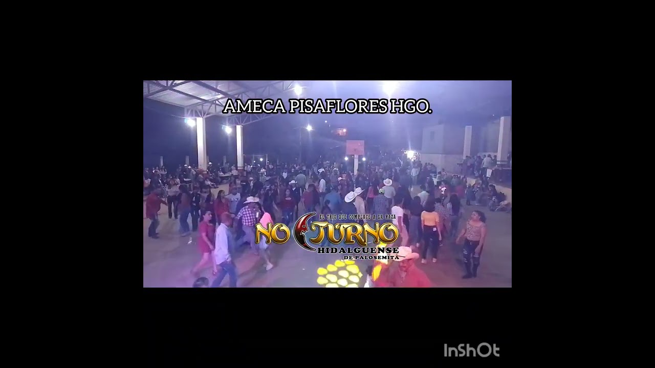 CARNAVAL LA AMECA PISAFLORES/ NOCTURNO hidalgense