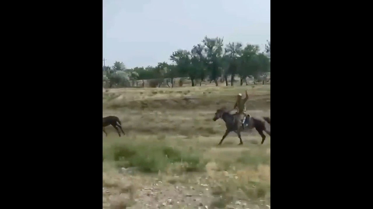 ☝🏻Ногайские конники аула Яман-Тен ⚔️🐺 #ногайцы