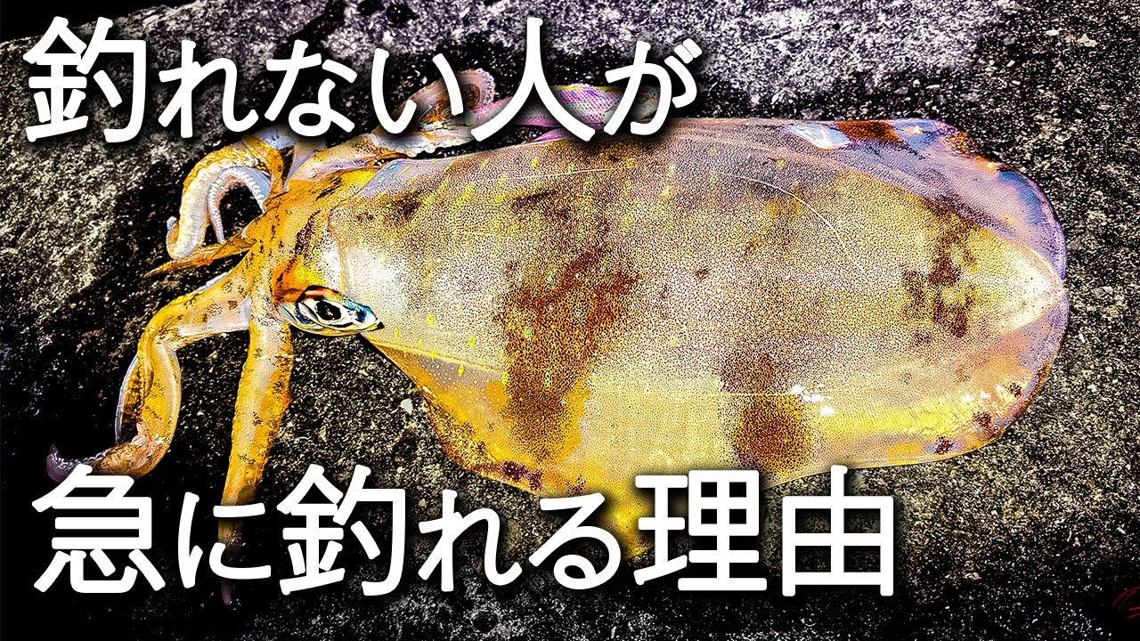 春イカが逃げていく「間違ったシャクリ」。私が一段しか動かさない本当の理由。