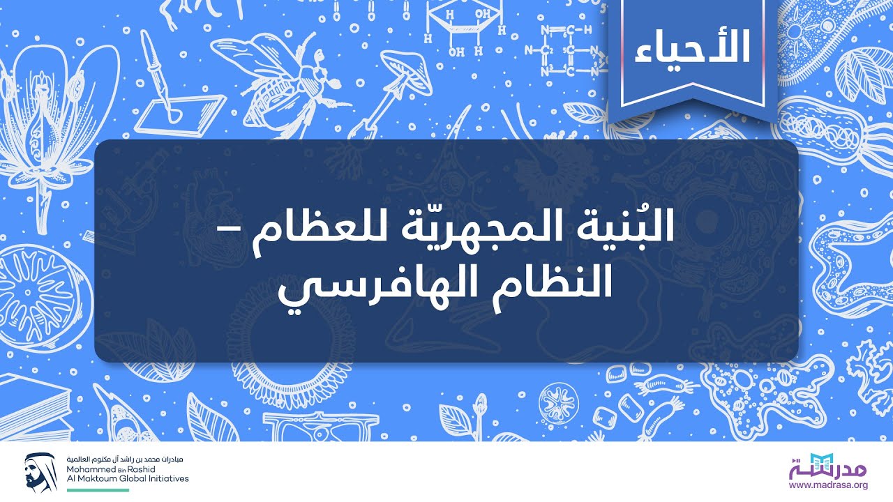 البُنية المجهريّة للعظام – النظام الهافرسي | الأحياء | التشريح وعلم وظائف الأعضاء
