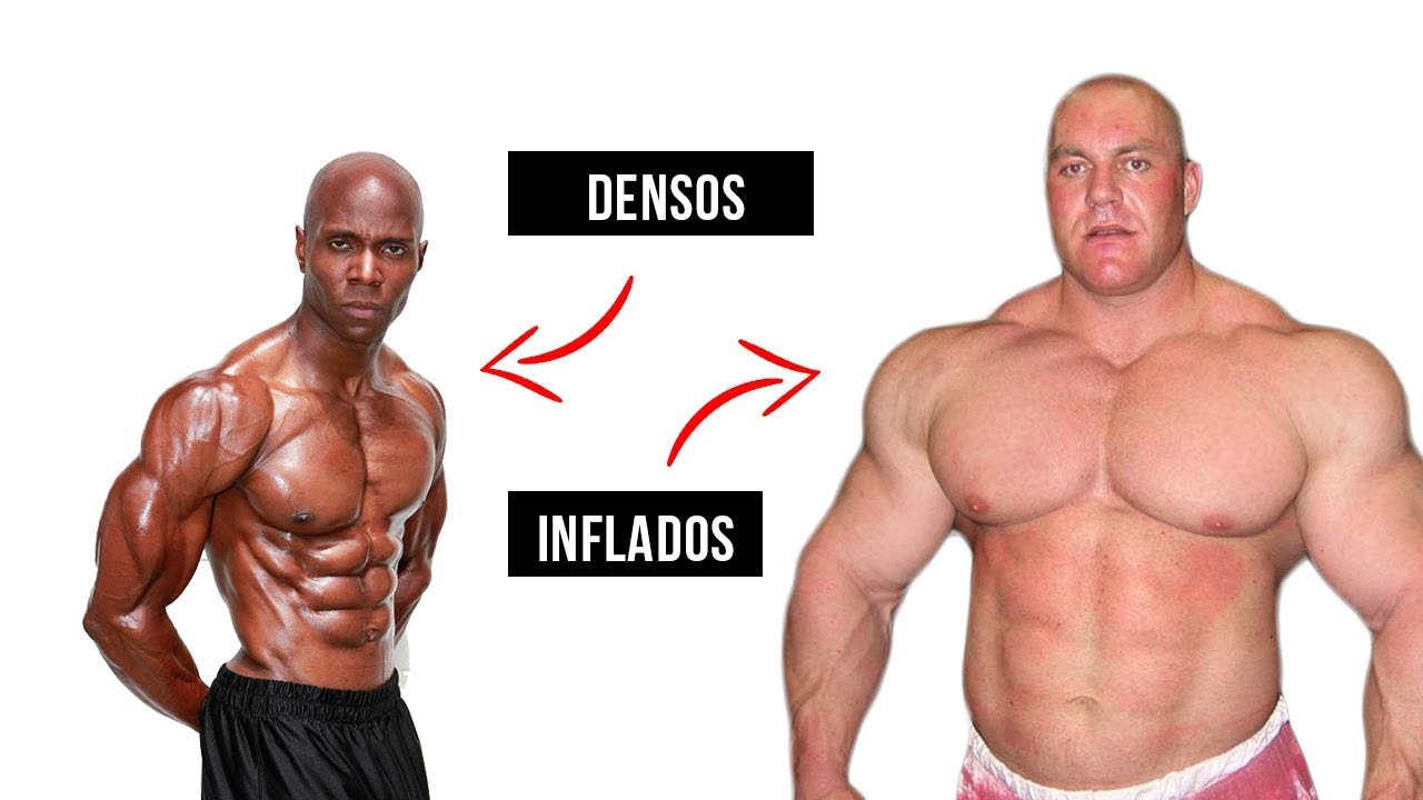 Hipertrofia SarcoMÉRICA vs SarcoPLASMÁTICA - TIPOS de CRECIMENTO MUSCULAR