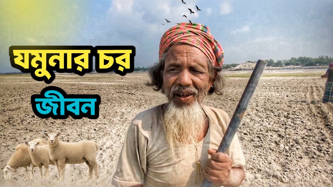শীতের দিনে যমুনার চর | Jamuna River Char Documentary | Bangladesh Village Life