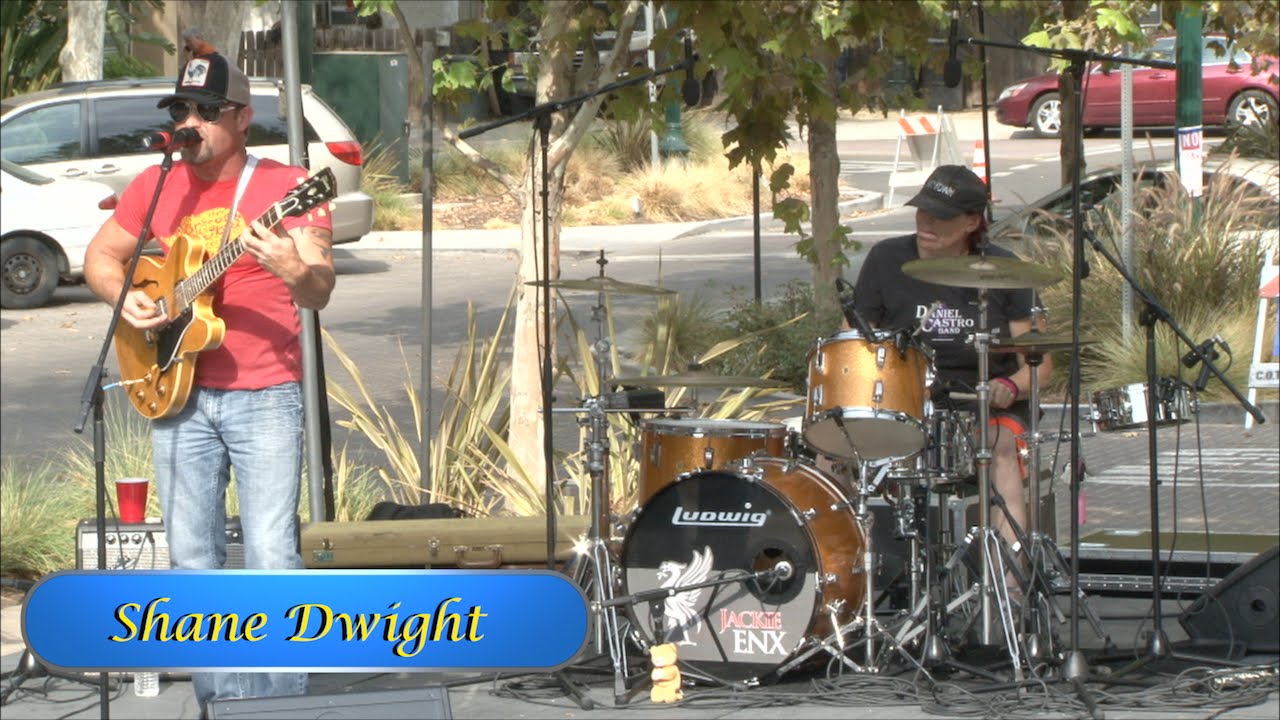 City of Tracy: Blues Brews & BBQ 2015 Shane Dwight Concert