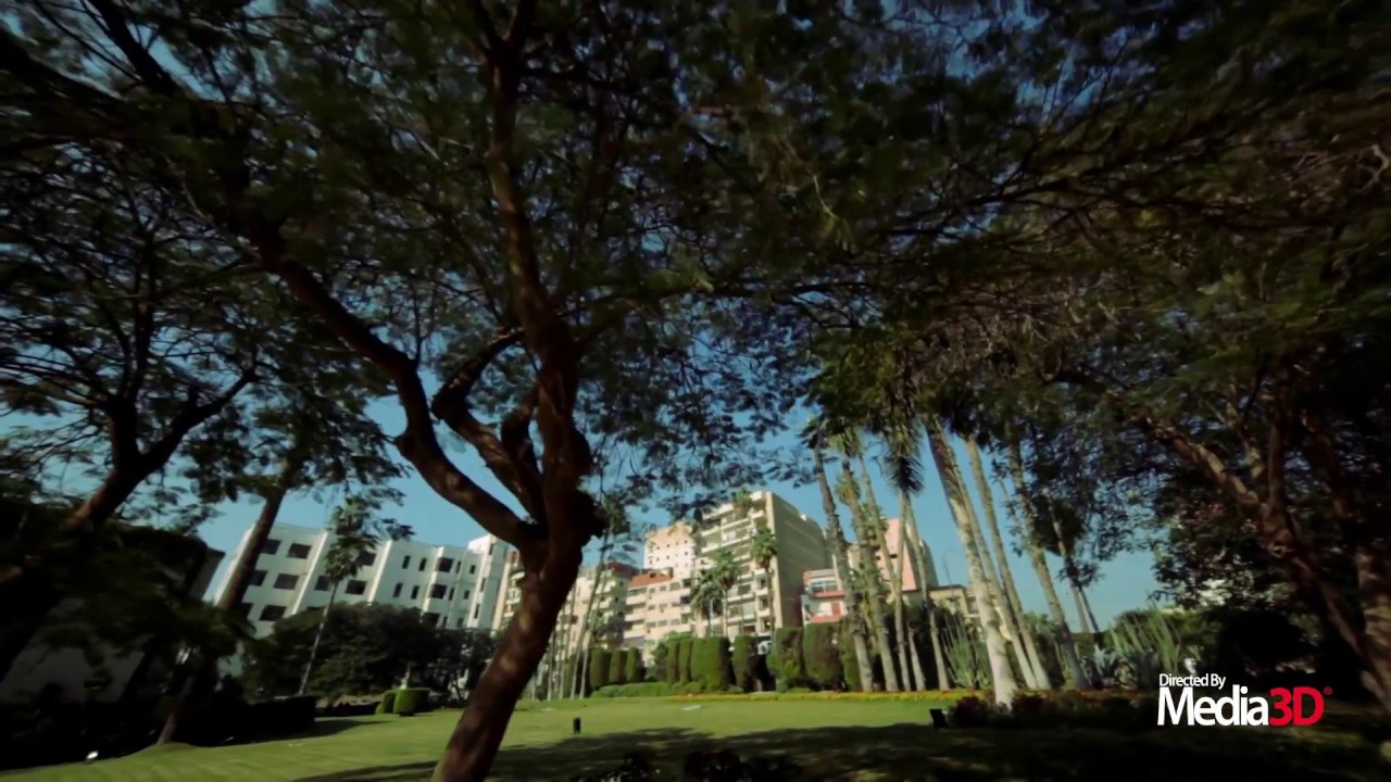 UNC VIDEOS                   مركز أمراض الكلى والمسالك البولية - جامعة المنصورة