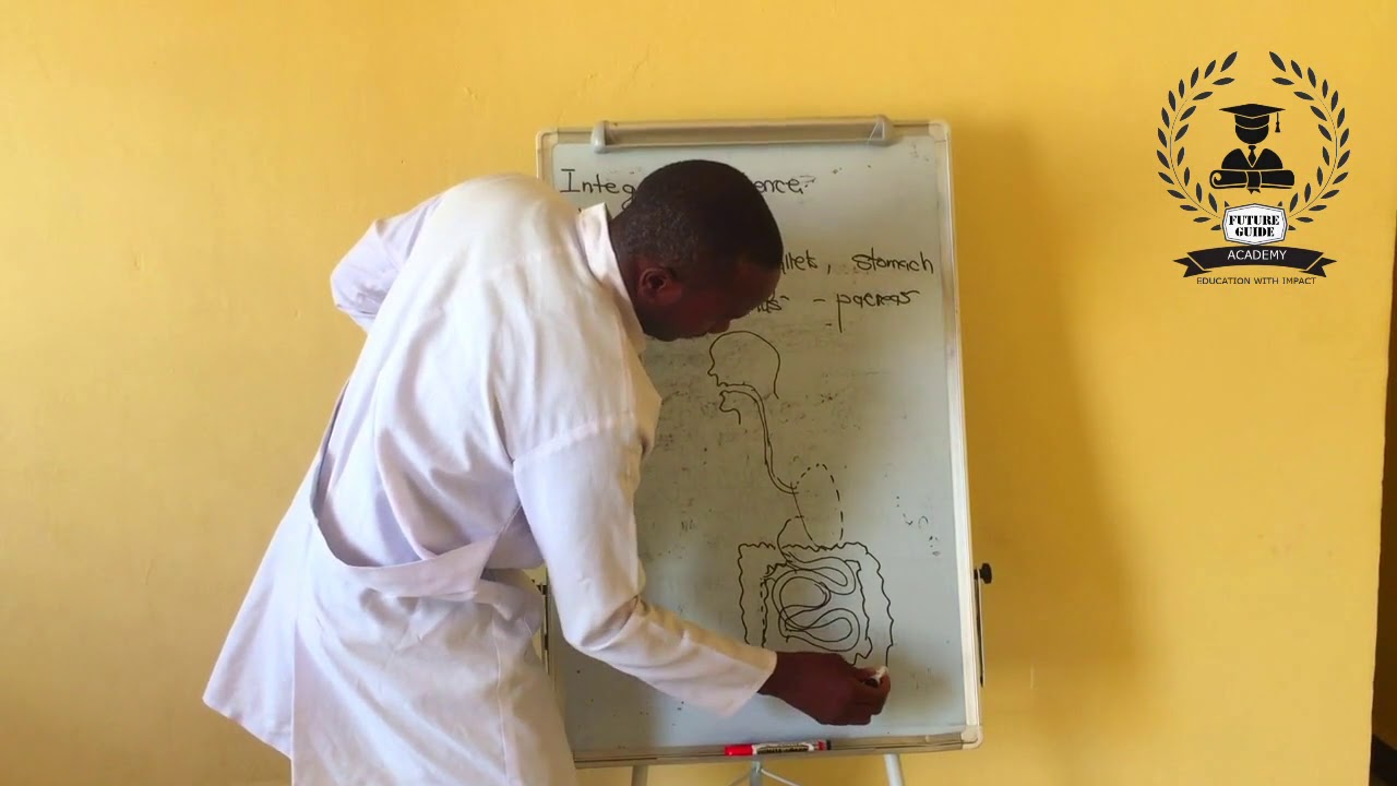 Grade 9 Integrated Science - Digestion