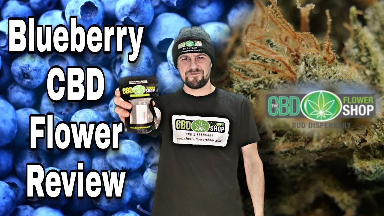 Blueberry CBD Flower Review - The CBD Flower shop