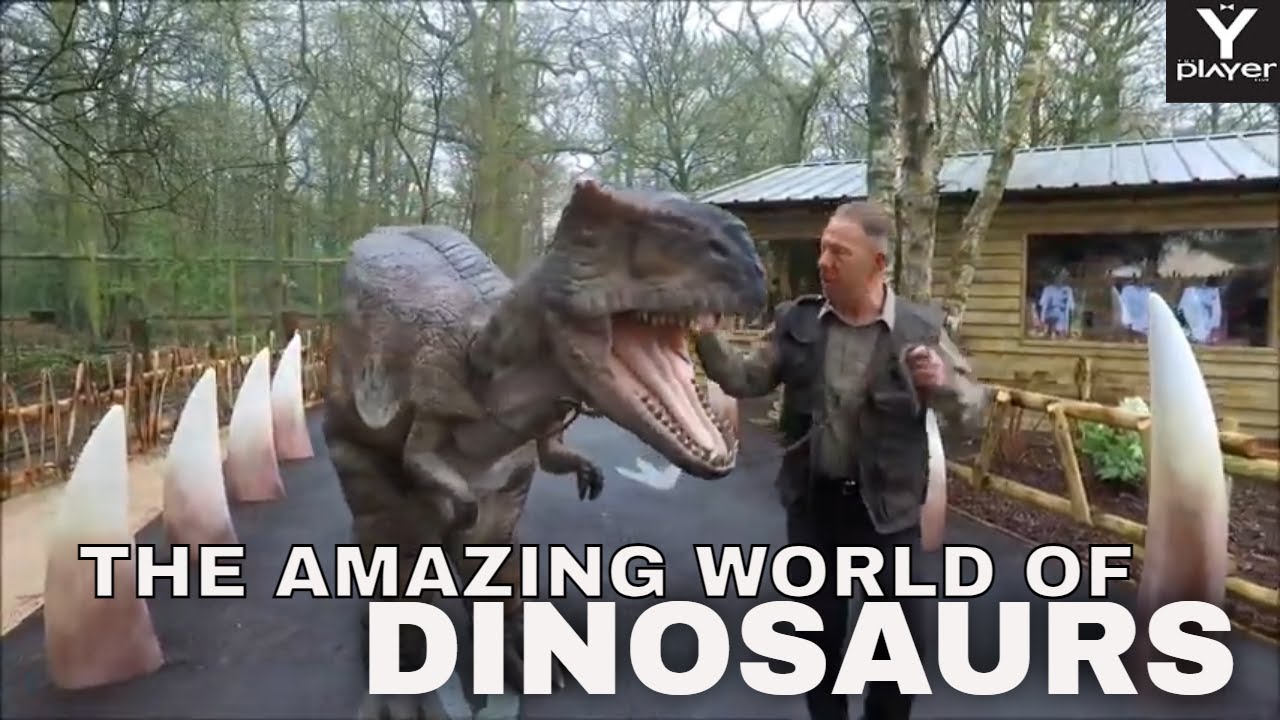 World of Dinosaurs: Must Visit the World of Dinosaurs at Paradise Wildlife Park, its Amazing!