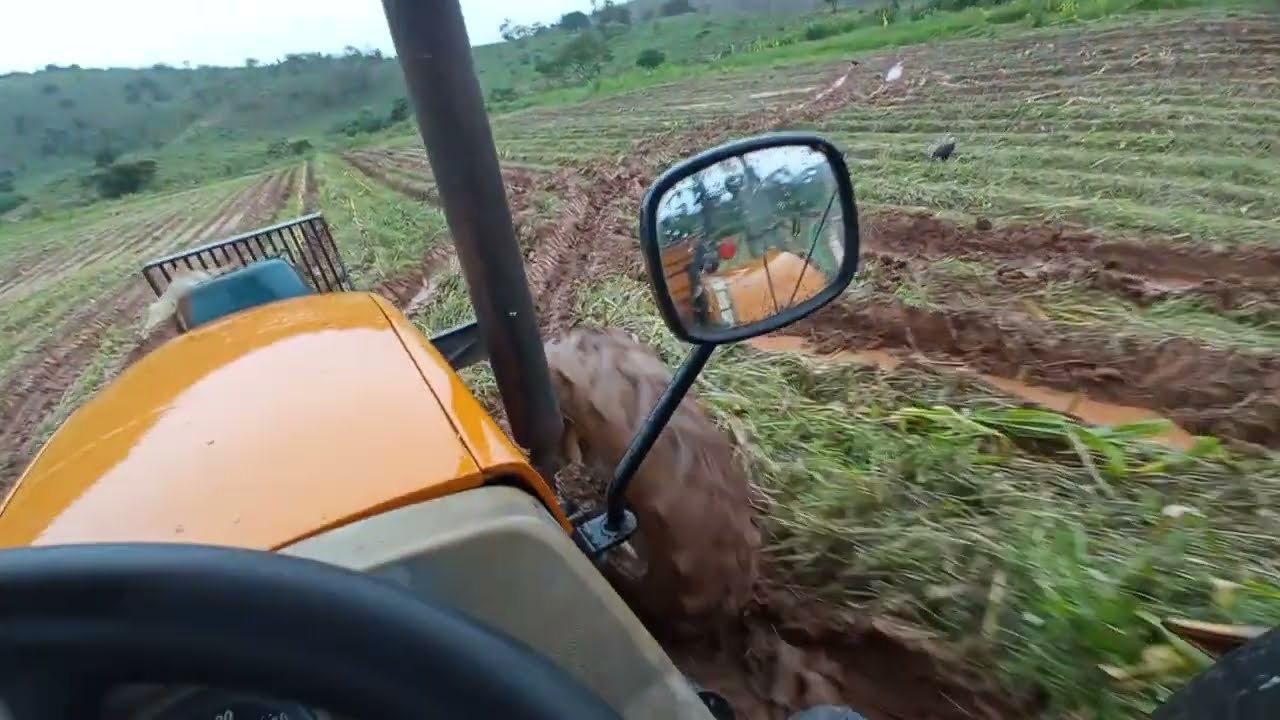 Trator moendo milho debaixo da chuva e no atoleiro