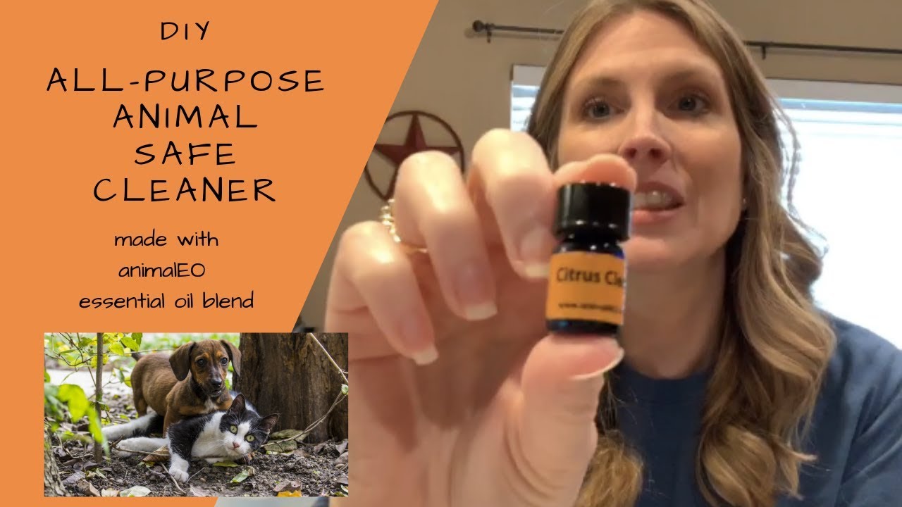 DIY Animal Safe All Purpose Cleaner with Essential Oils